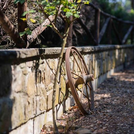 Terre Di Melazzano - Le Case Di Patrizia Greve in Chianti Exteriör bild