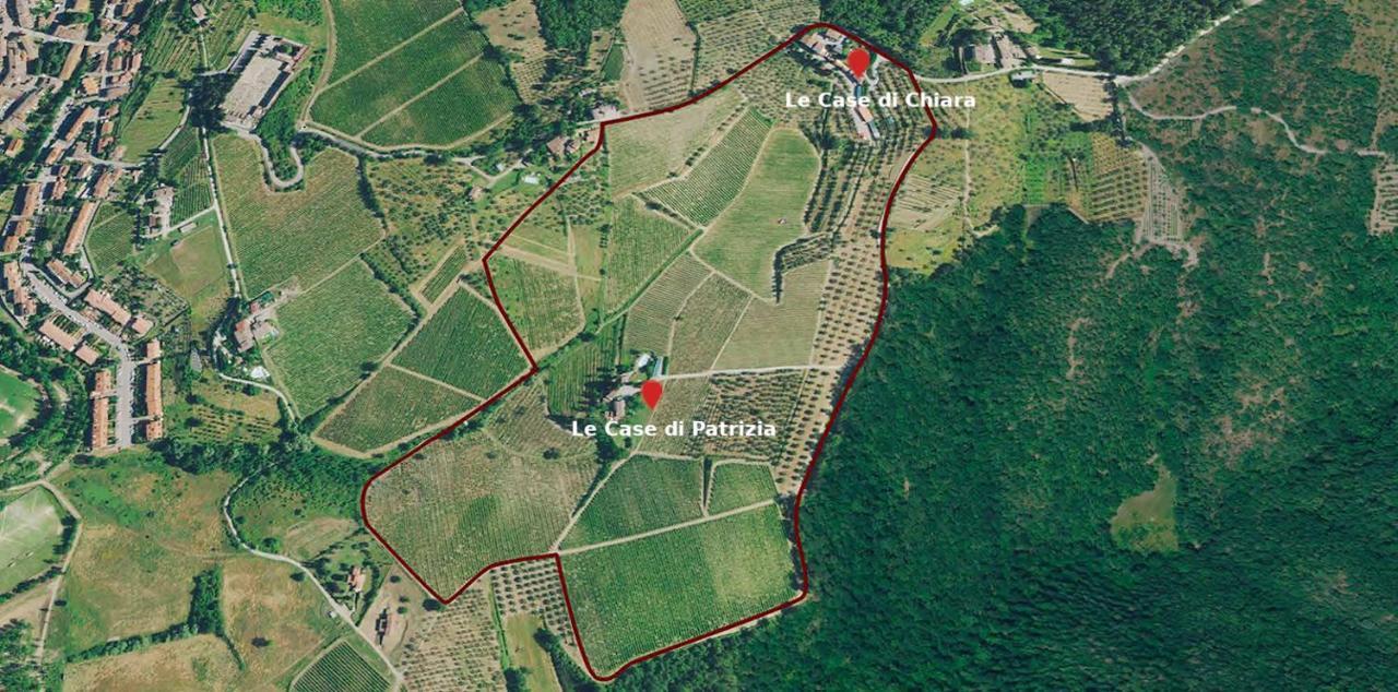 Terre Di Melazzano - Le Case Di Patrizia Greve in Chianti Exteriör bild