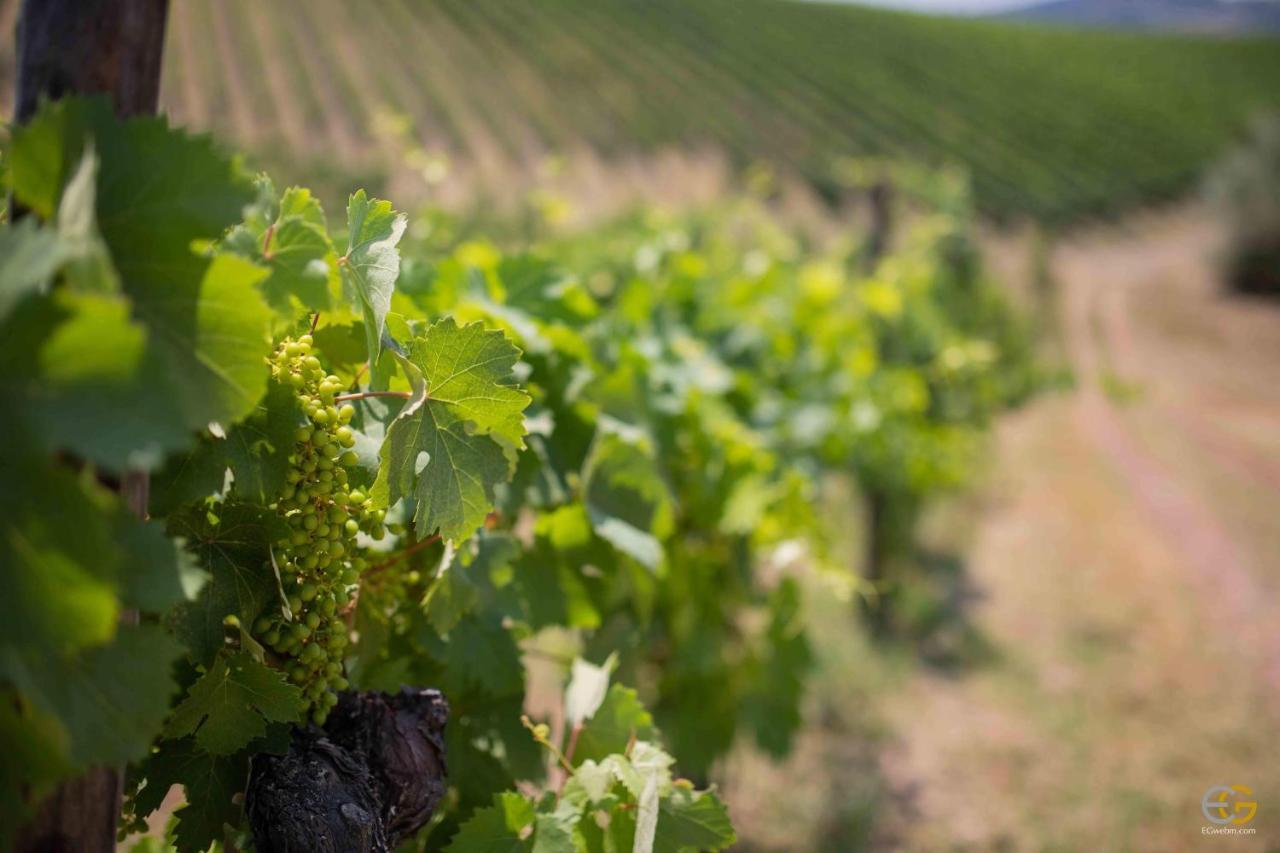 Terre Di Melazzano - Le Case Di Patrizia Greve in Chianti Exteriör bild