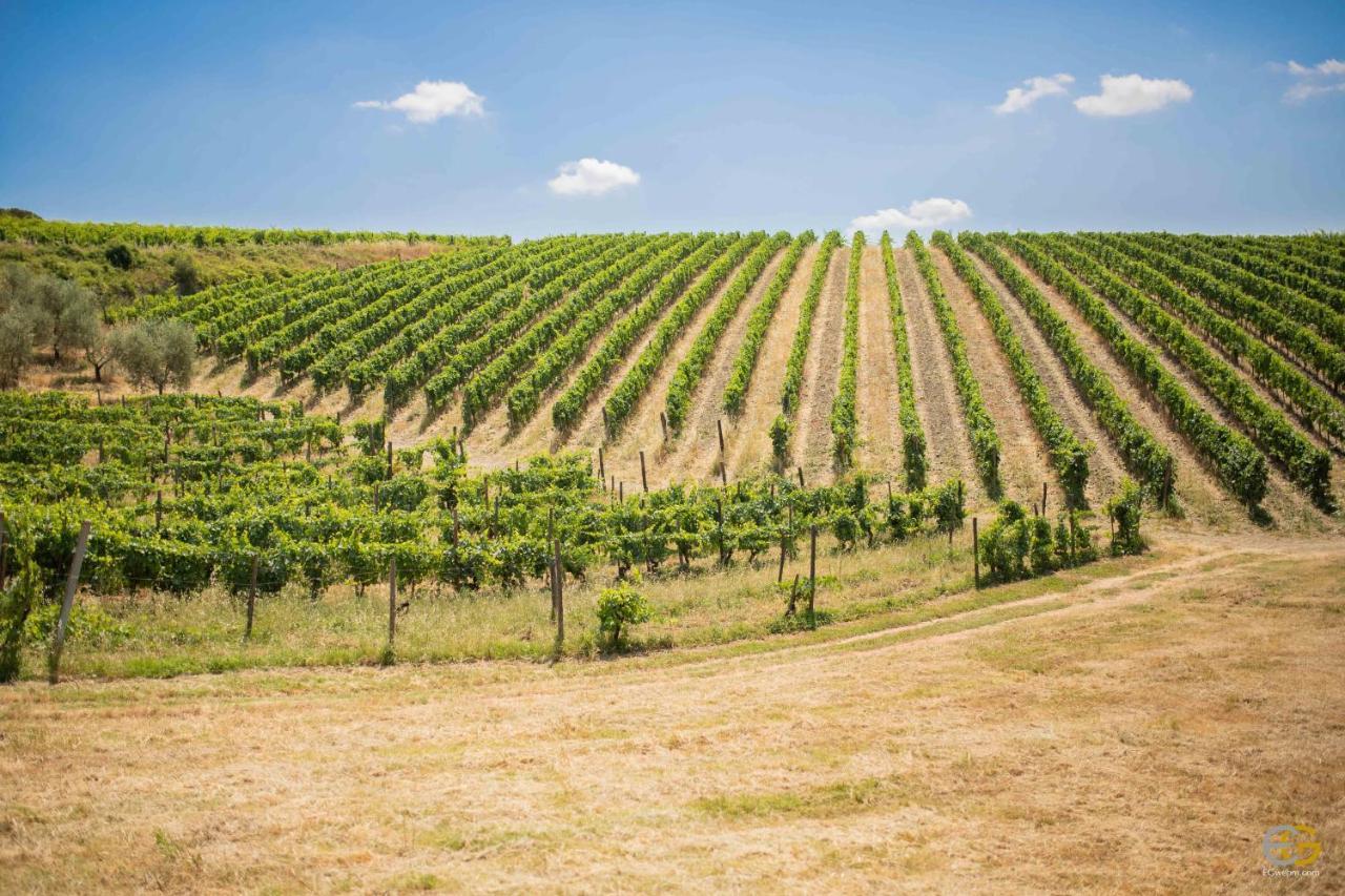 Terre Di Melazzano - Le Case Di Patrizia Greve in Chianti Exteriör bild