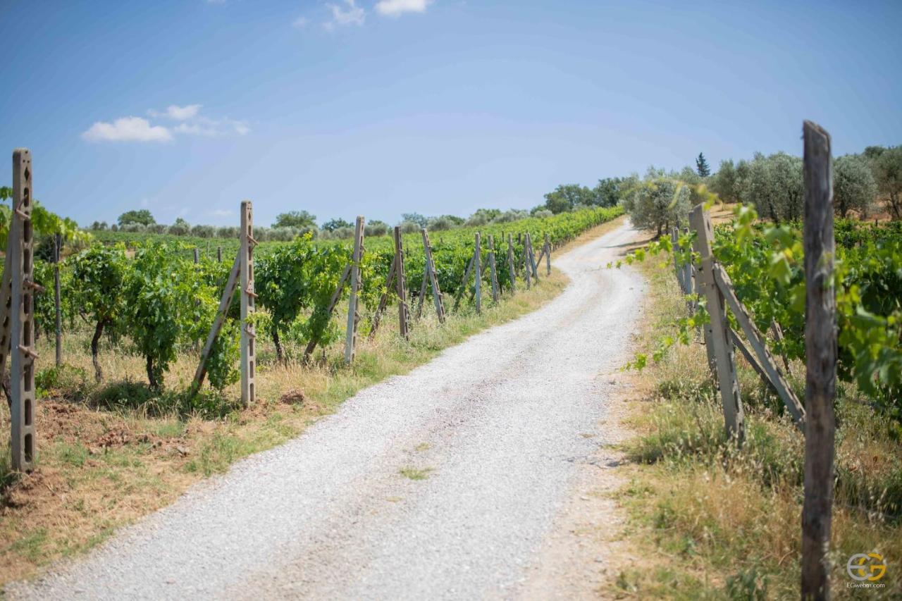 Terre Di Melazzano - Le Case Di Patrizia Greve in Chianti Exteriör bild