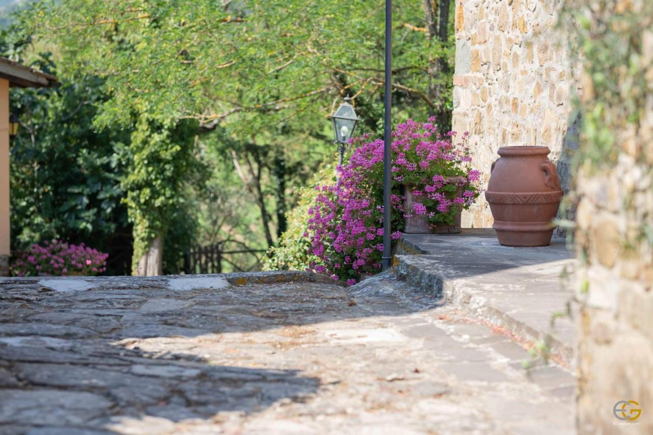 Terre Di Melazzano - Le Case Di Patrizia Greve in Chianti Exteriör bild