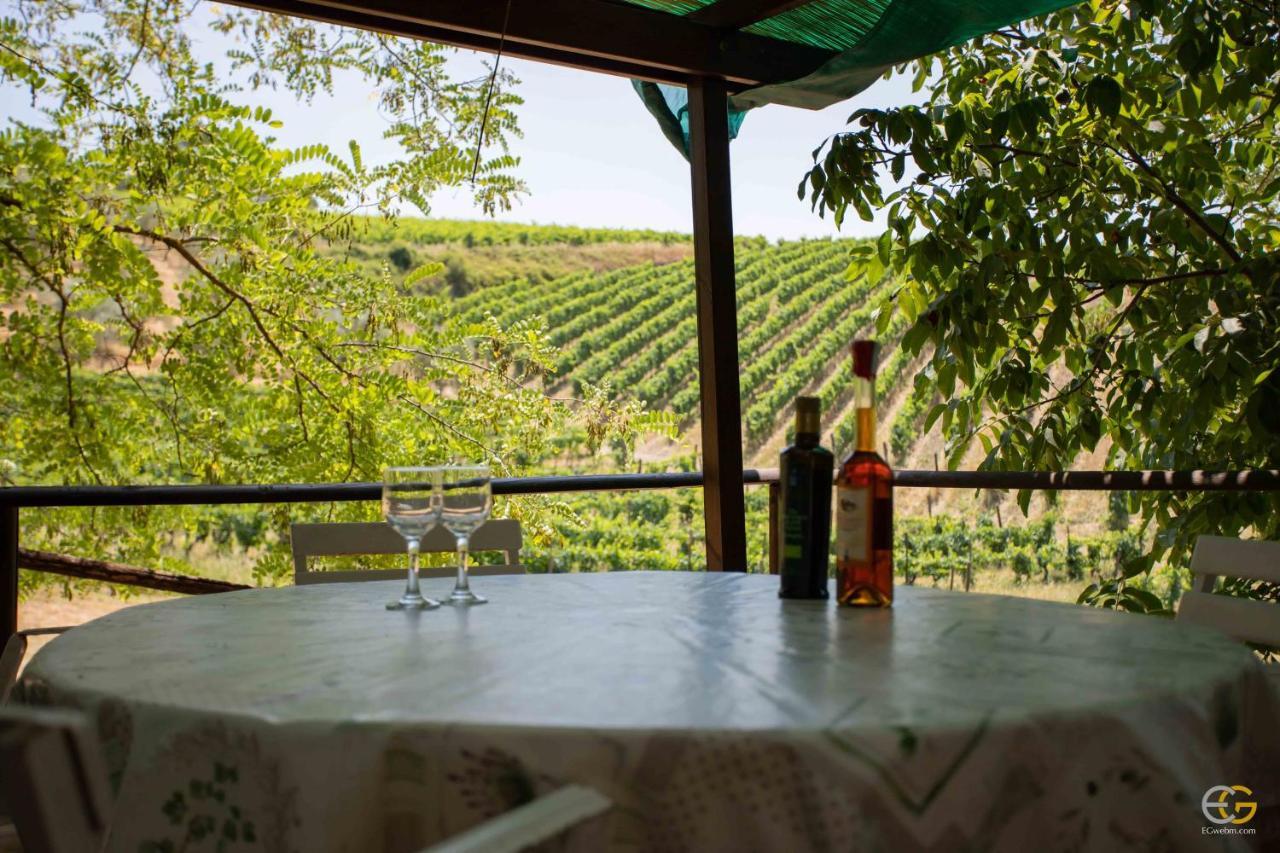 Terre Di Melazzano - Le Case Di Patrizia Greve in Chianti Exteriör bild