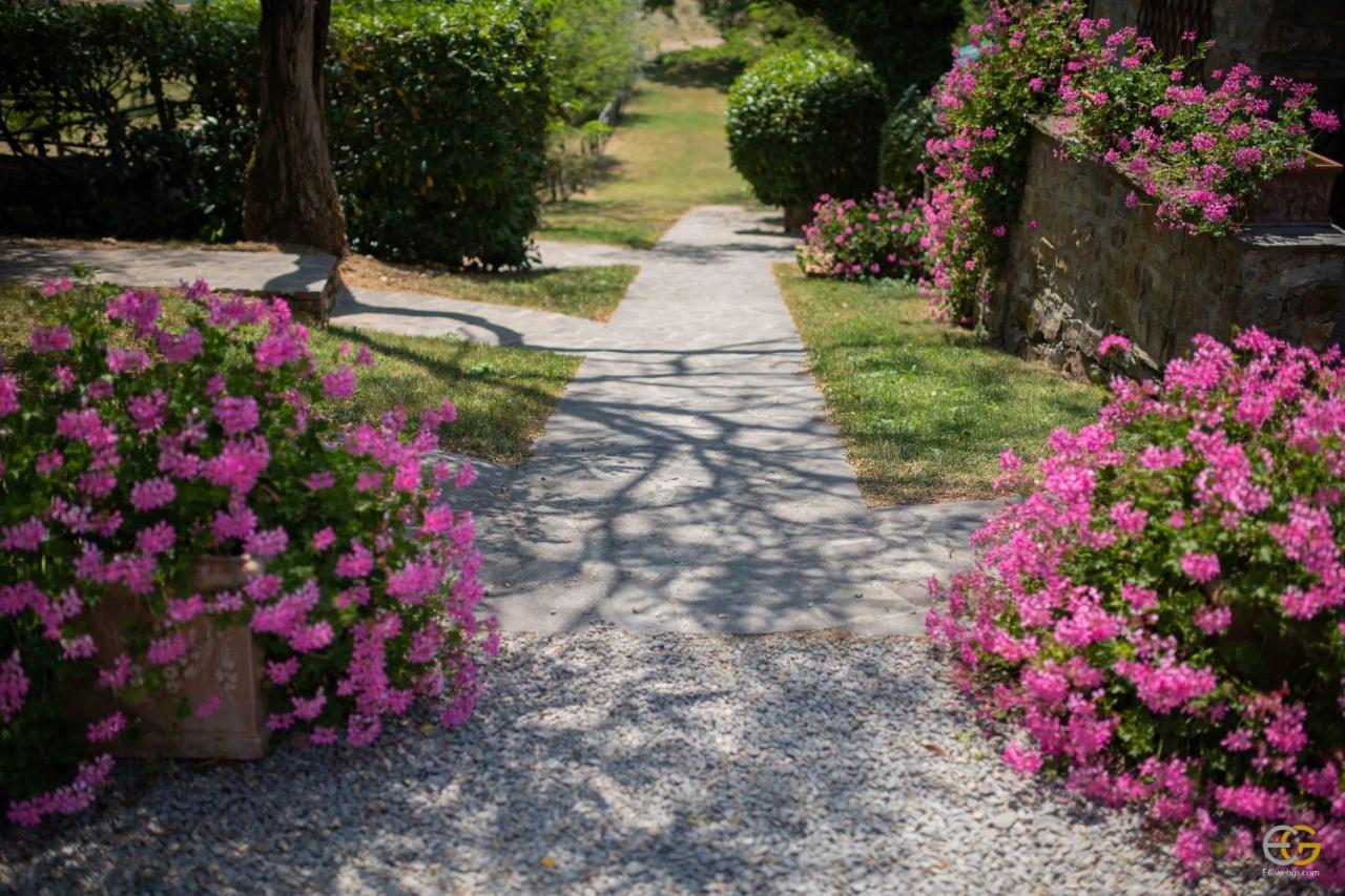 Terre Di Melazzano - Le Case Di Patrizia Greve in Chianti Exteriör bild