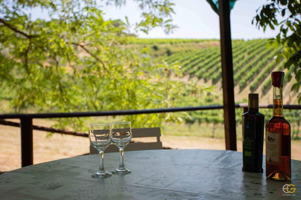 Terre Di Melazzano - Le Case Di Patrizia Greve in Chianti Exteriör bild